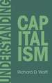 Understanding Capitalism