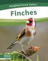 Finches