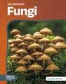 Fungi