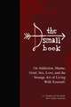The Small Book: On Addiction, Shame, Grief, Sex, Love, and the Strange Art of Living With Yourself