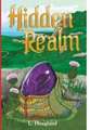 Hidden Realm