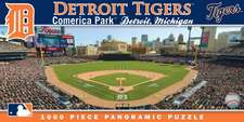 Detroit Tigers: Book Box