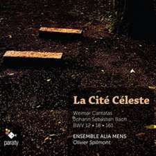 La Cite Celeste