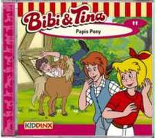 Bibi & Tina: Folge 11: Papis Pony