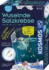 Fun Science Wuselnde Salzkrebse