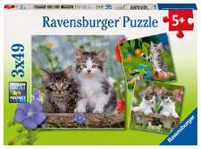 Süße Samtpfötchen - Puzzle 3 x 49 Teile