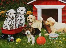 Puppy Party 60 PC Puzzle