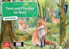 Tiere und Pflanzen im Wald. Kamishibai Bildkartenset