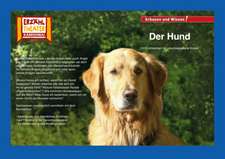 Kamishibai: Der Hund