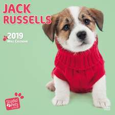 JACK RUSSELLS BY STUDIO P 2019 SQUARE WA