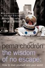 Chodron, P: Wisdom of No Escape