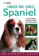 Cavalier King Charles Spaniel