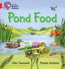 Pond Food