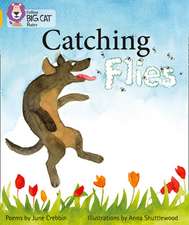 Catching Flies: Practice Book 4