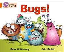 Bugs Workbook