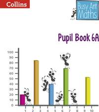 Pupil Book 6A