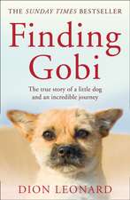 Leonard, D: Finding Gobi (Main edition)