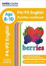 Leckie Primary Success - P5 English Practice Workbook