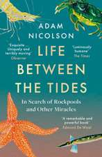 Life Between the Tides