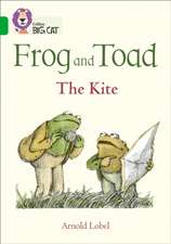 BIG CAT - FROG TOAD KITE