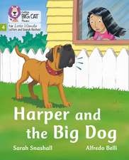 Big Cat Phonics for Little Wandle Letters and Sounds Revised - Harper and the Big Dog