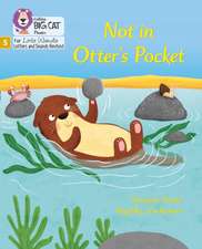 Big Cat Phonics for Little Wandle Letters and Sounds Revised - Not in Otter's Pocket!