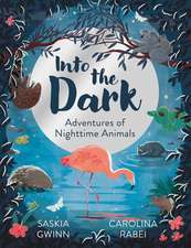 INTO DARK HB
