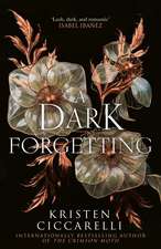 DARK FORGETTING HB