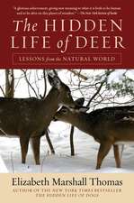 The Hidden Life of Deer: Lessons from the Natural World