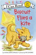 Capucilli, A: Biscuit Flies a Kite