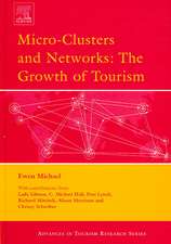 Micro-Clusters and Networks