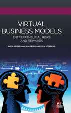 Virtual Business Models: Entrepreneurial Risks and Rewards