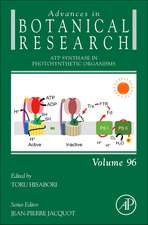 ATP Synthase in Photosynthetic Organisms