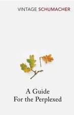 Guide For the Perplexed