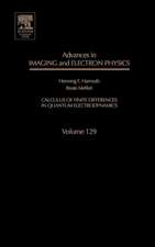 Advances in Imaging and Electron Physics: Calculus of Finite Differences in Quantum Electrodynamics