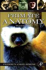 Primate Anatomy: An Introduction