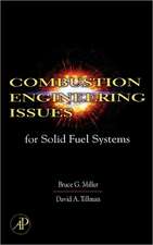 Combustion Engineering Issues for Solid Fuel Systems