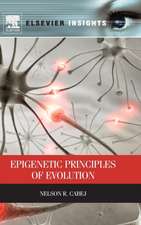 Epigenetic Principles of Evolution