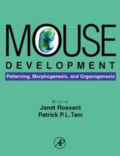 Mouse Development