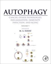 Autophagy: Cancer, Other Pathologies, Inflammation, Immunity, Infection, and Aging: Volume 9: Human Diseases and Autophagosome