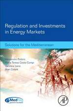 Regulation and Investments in Energy Markets: Solutions for the Mediterranean