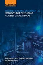 Theoretical and Experimental Methods for Defending Against DDoS Attacks