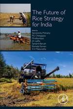 The Future Rice Strategy for India