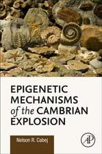 Epigenetic Mechanisms of the Cambrian Explosion