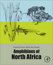 Amphibians of North Africa