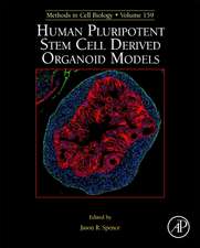 Human Pluripotent Stem Cell Derived Organoid Models