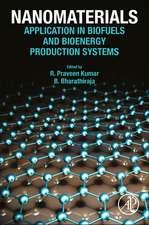 Nanomaterials: Application in Biofuels and Bioenergy Production Systems