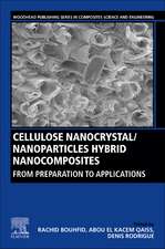 Cellulose Nanocrystal/Nanoparticles Hybrid Nanocomposites: From Preparation to Applications