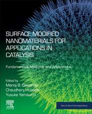 Surface Modified Nanomaterials for Applications in Catalysis: Fundamentals, Methods and Applications