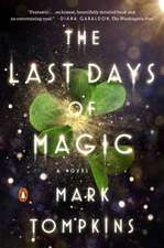 The Last Days of Magic: A Novel